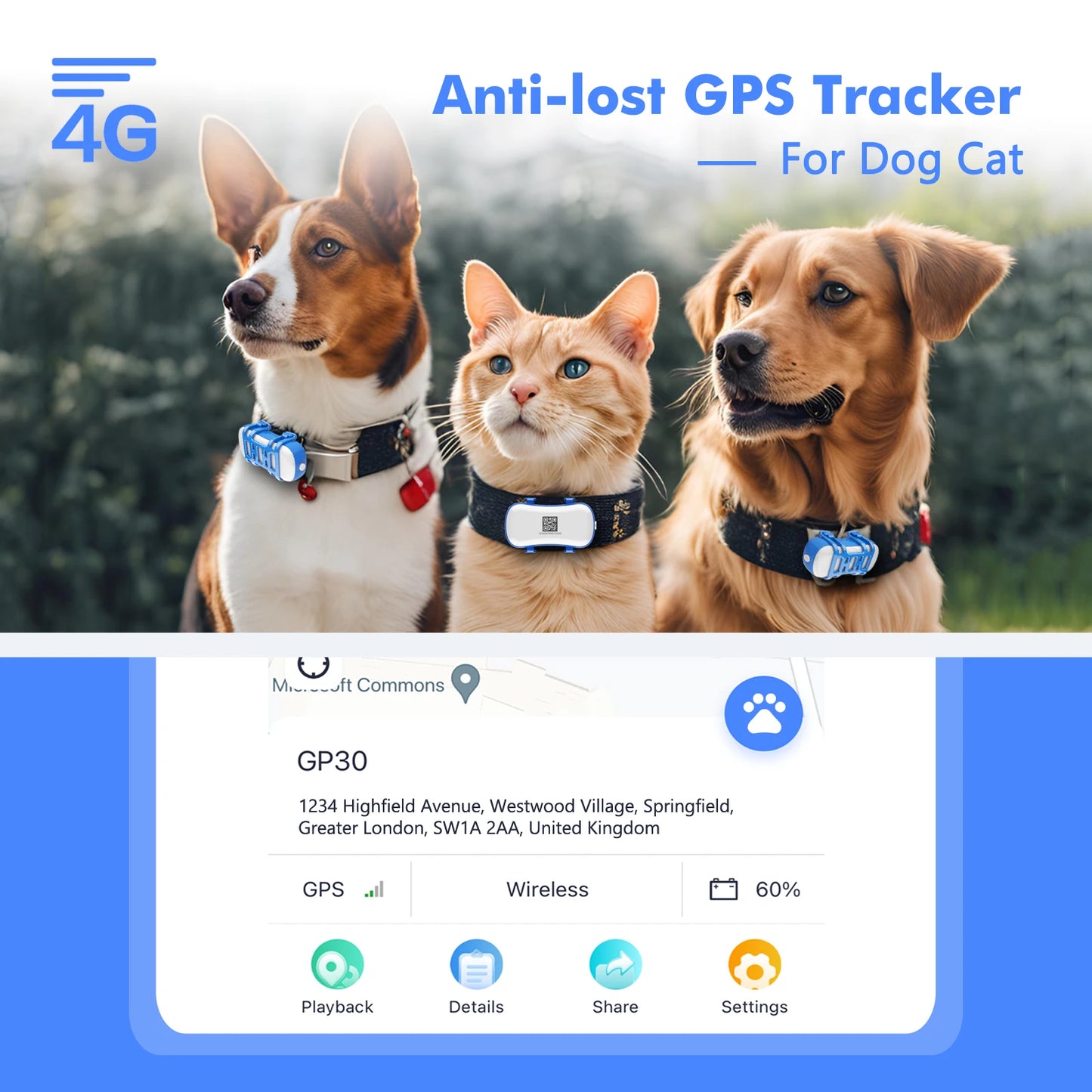 4G Pet GPS Tracker For Dogs And Cats Waterproof With App