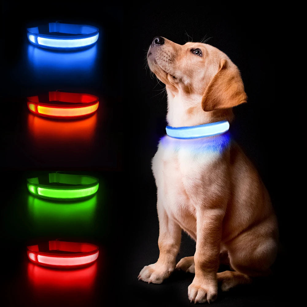Masbrill Rechargeable Luminous Waterproof Dog Collar