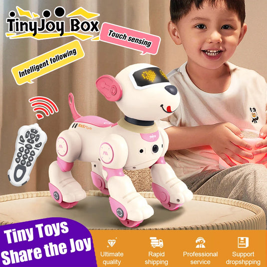 CONUSEA RC Robot Dog Programmable Voice Command Toy
