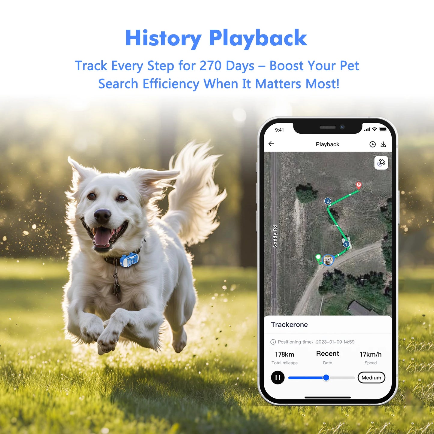 4G Pet GPS Tracker For Dogs And Cats Waterproof With App