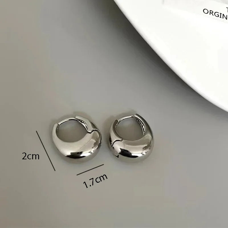 CN Stainless Steel Chunky Hoop Earrings for Women Fashion
