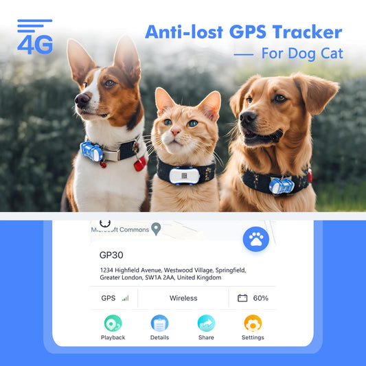 4G Pet GPS Tracker For Dogs And Cats Waterproof With App