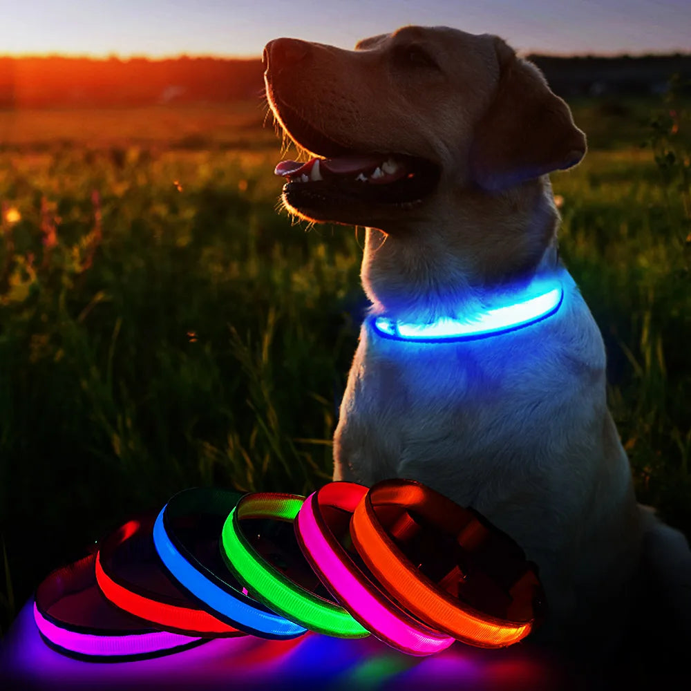 Masbrill Rechargeable Luminous Waterproof Dog Collar
