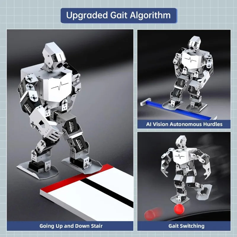 Hign Concerned AI Visual Humanoid Robot Raspberry Pi 5 8GB