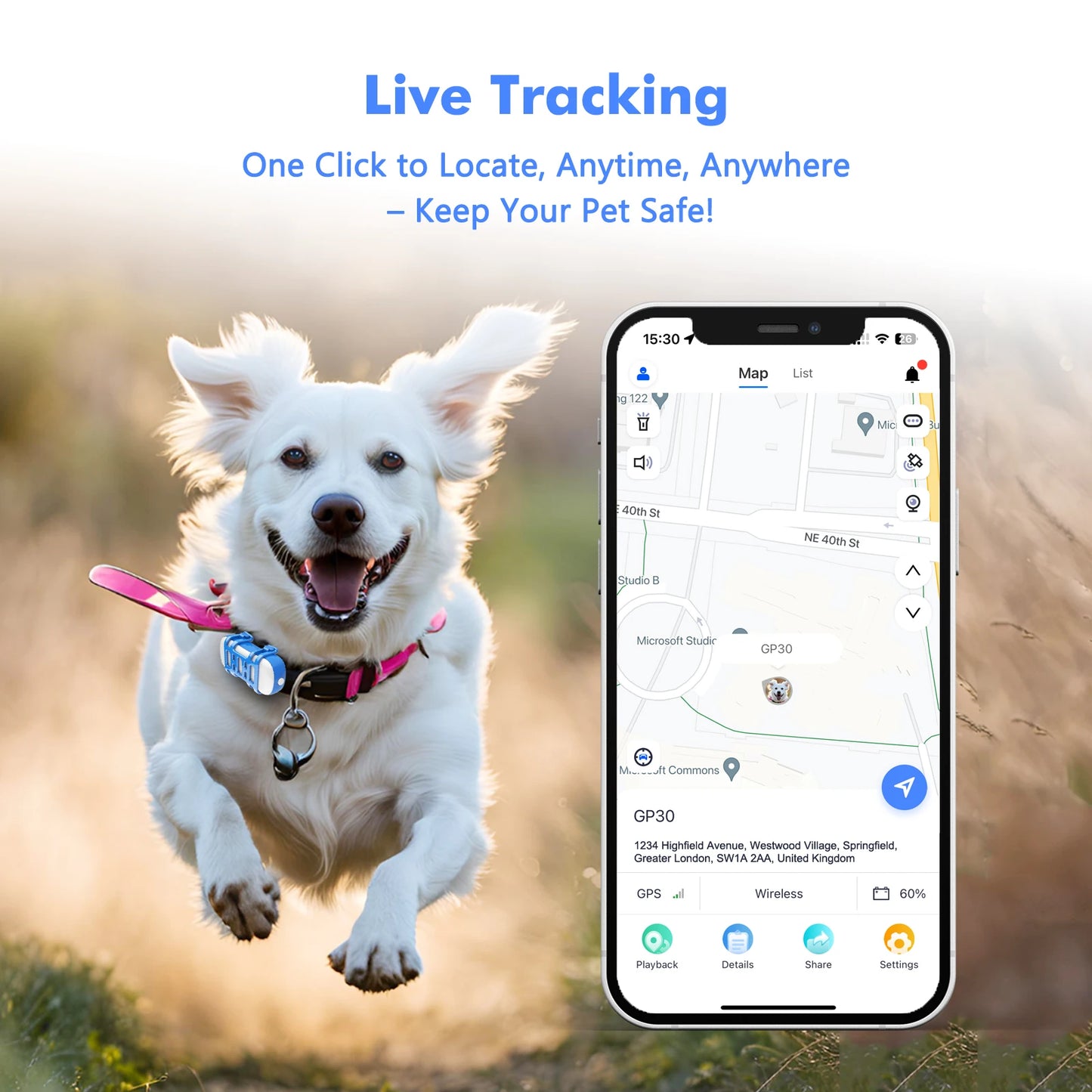 4G Pet GPS Tracker For Dogs And Cats Waterproof With App