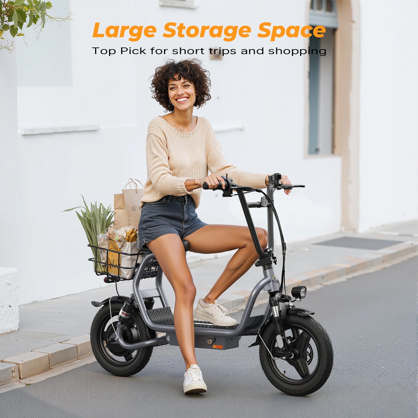 Varun P5 Electric Scooter 750W 48V Foldable